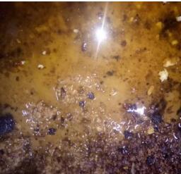 1630490392161455.jpg 1630490392161455.jpg