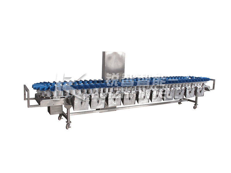 【銳智出品系列】之食品稱重分級、智能包裝整體解決方案